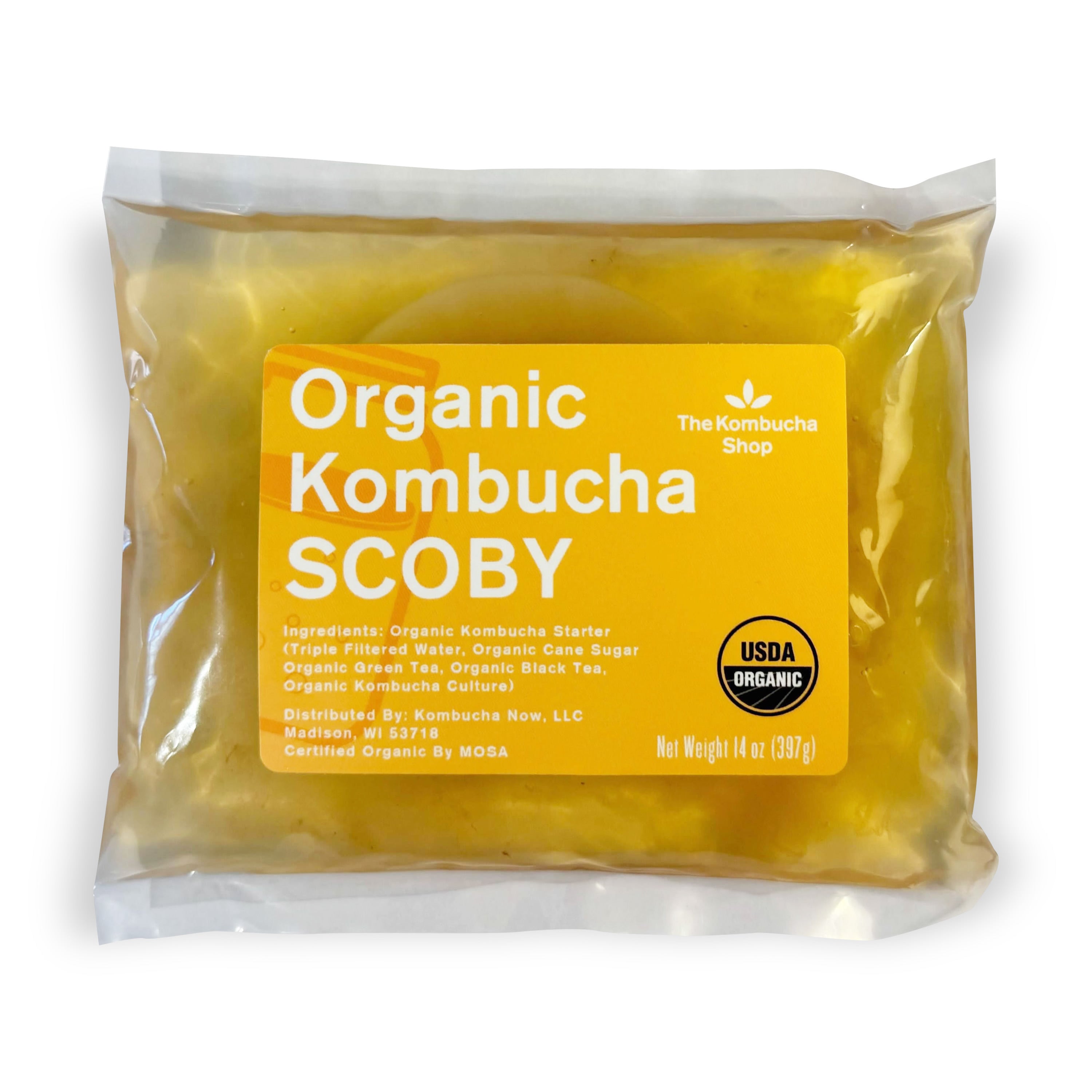 Cha De Kombucha Scoby Kombucha Meisterkit: BIO Scoby