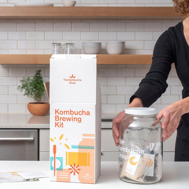 Cyber Monday Kombucha Brewing Kit (1 Free Gift)