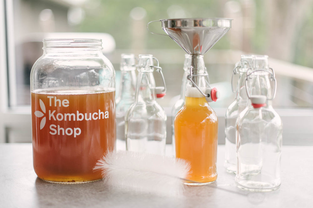 Kombucha Kit - The Brew Hut