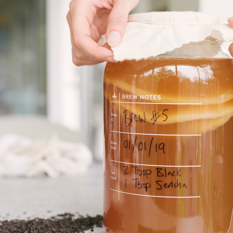 Kombucha Brewing Kit - Case of 6