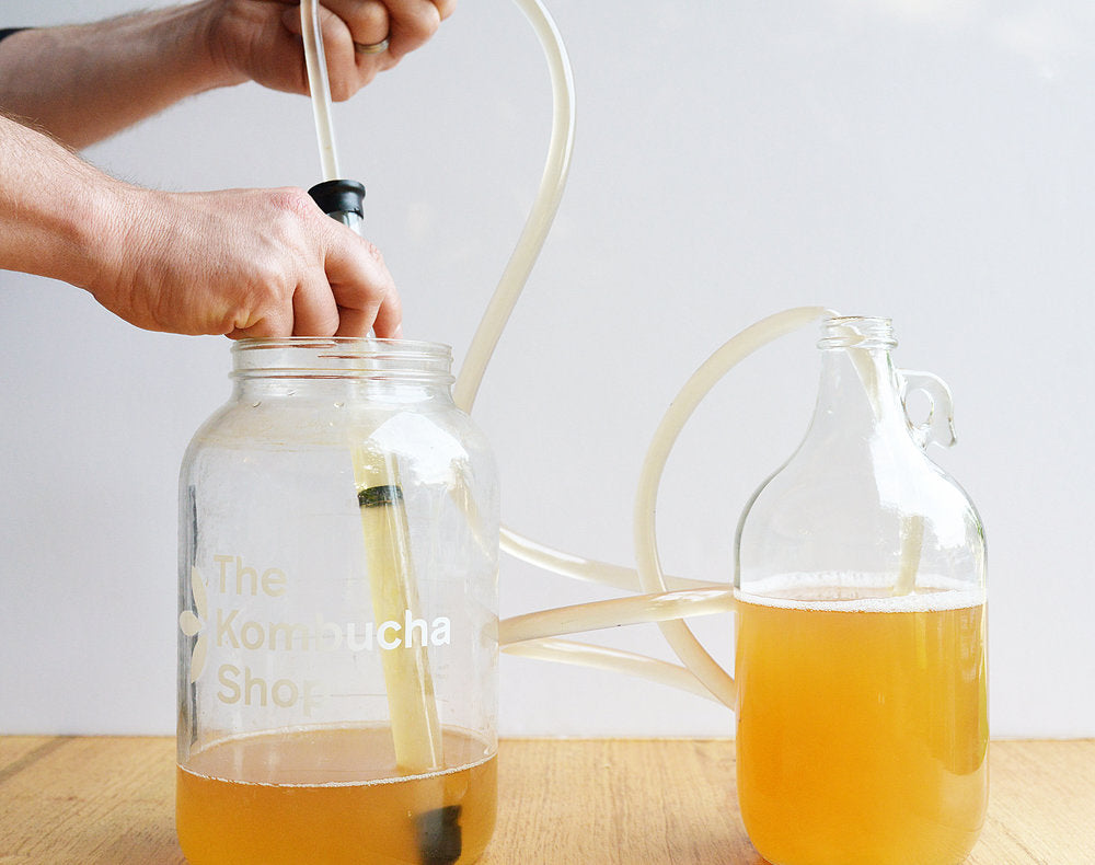 Mini Auto Siphon with Tubing