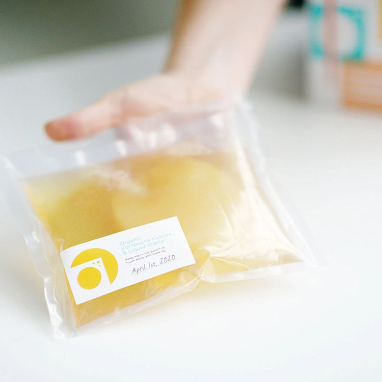 Kombucha Culture & Starter