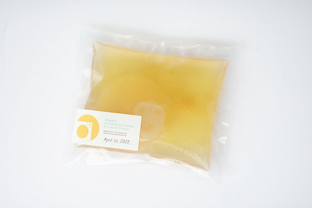 Kombucha Culture Pouch  Case of 6