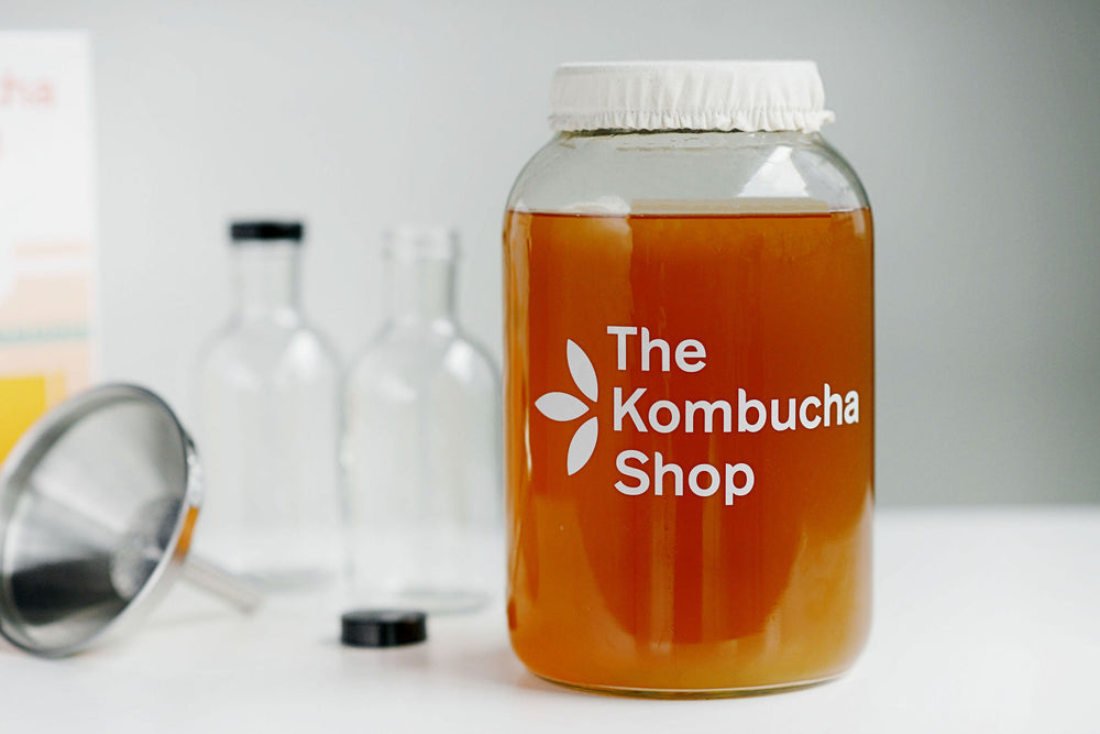 Fitted Brew Jar Cover