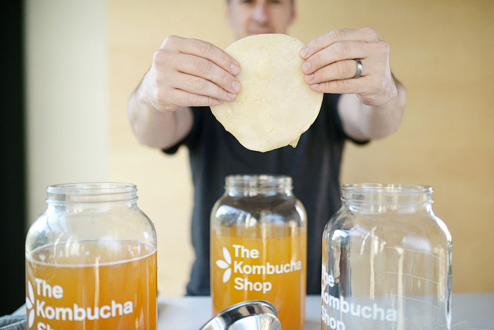 Kombucha Culture Pouch  Case of 6