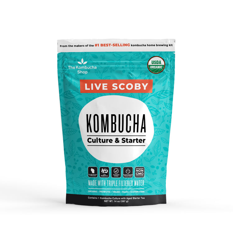Kombucha Scoby and Starter Tea, Live Kombucha Starter Liquid, Kombucha Tea  Starter Culture, Brew Kombucha at Home, Makes a 1 Gallon Batch of Kombucha