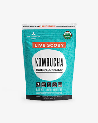 Kombucha Culture & Starter